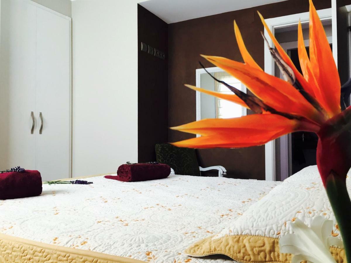 Lo Raconet Apartment Deltebre Ngoại thất bức ảnh